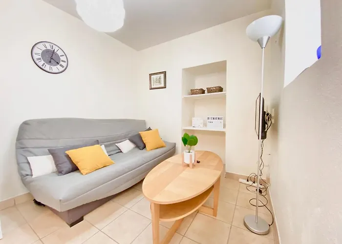 Apartment Le Conservatoire, En Plein Centre Historique *